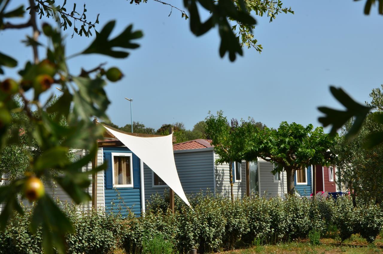 Domaine Sainte Veziane Ξενοδοχείο Bessan Εξωτερικό φωτογραφία